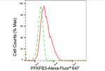PFKFB3 Antibody in Flow Cytometry (Flow)
