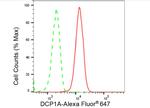 DCP1A Antibody in Flow Cytometry (Flow)