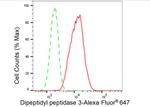 DPP3 Antibody in Flow Cytometry (Flow)