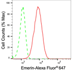 Emerin Antibody in Flow Cytometry (Flow)