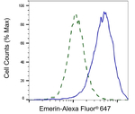 Emerin Antibody in Flow Cytometry (Flow)
