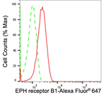 EphB1 Antibody in Flow Cytometry (Flow)