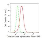 alpha Galactosidase Antibody in Flow Cytometry (Flow)