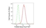 TCEB2 Antibody in Flow Cytometry (Flow)