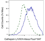 Cathepsin H/K/L/V Antibody in Flow Cytometry (Flow)