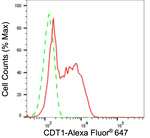 CDT1 Antibody in Flow Cytometry (Flow)