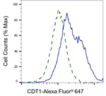 CDT1 Antibody in Flow Cytometry (Flow)