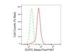 PIST Antibody in Flow Cytometry (Flow)