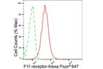 JAM-A (CD321) Antibody in Flow Cytometry (Flow)