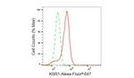 KSR1 Antibody in Flow Cytometry (Flow)
