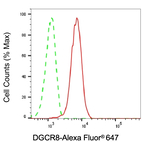 DGCR8 Antibody in Flow Cytometry (Flow)