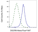 DGCR8 Antibody in Flow Cytometry (Flow)