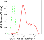 EGFR Antibody in Flow Cytometry (Flow)