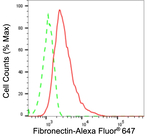 Fibronectin Antibody in Flow Cytometry (Flow)