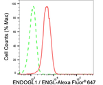 ENDOGL1 Antibody in Flow Cytometry (Flow)