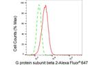 GNB2 Antibody in Flow Cytometry (Flow)