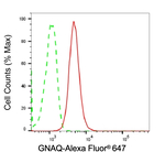 GNAQ Antibody in Flow Cytometry (Flow)