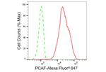 PCAF Antibody in Flow Cytometry (Flow)