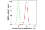 ITGB1 Antibody in Flow Cytometry (Flow)