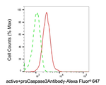 Active/Pro-Caspase 3 Antibody in Flow Cytometry (Flow)