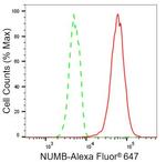NUMB Antibody in Flow Cytometry (Flow)