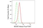 MCM7 Antibody in Flow Cytometry (Flow)