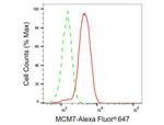 MCM7 Antibody in Flow Cytometry (Flow)
