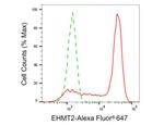 EHMT2 Antibody in Flow Cytometry (Flow)