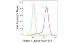 Flotillin 1 Antibody in Flow Cytometry (Flow)