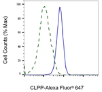CLPP Antibody in Flow Cytometry (Flow)
