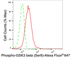 Phospho-GSK3B (Ser9) Antibody in Flow Cytometry (Flow)