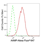 AAMP Antibody in Flow Cytometry (Flow)