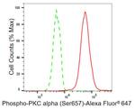 Phospho-PKC alpha (Ser657) Antibody in Flow Cytometry (Flow)