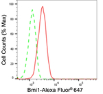 BMI-1 Antibody in Flow Cytometry (Flow)