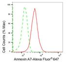 Annexin A7 Antibody in Flow Cytometry (Flow)