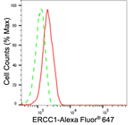 ERCC1 Antibody in Flow Cytometry (Flow)