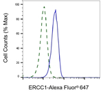 ERCC1 Antibody in Flow Cytometry (Flow)