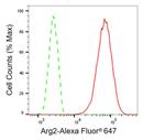 Arginase 2 Antibody in Flow Cytometry (Flow)