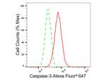 Caspase 3 Antibody in Flow Cytometry (Flow)