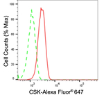 CSK Antibody in Flow Cytometry (Flow)