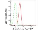 Cullin 1 Antibody in Flow Cytometry (Flow)
