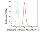 GSS Antibody in Flow Cytometry (Flow)