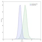 HIF1A Recombinant Mouse Monoclonal Antibody (SAA0814)