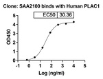 PLAC1 Humanized Antibody in ELISA (ELISA)