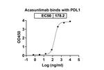 Acasunlimab Humanized Recombinant Human Monoclonal Antibody
