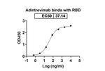 Adintrevimab Humanized Recombinant Human Monoclonal Antibody