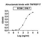Alnuctamab Humanized Recombinant Human Monoclonal Antibody