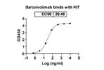Barzolvolimab Humanized Recombinant Human Monoclonal Antibody
