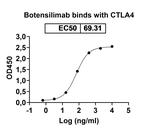 Botensilimab Humanized Recombinant Human Monoclonal Antibody