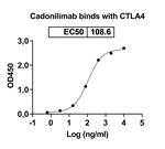 Cadonilimab Humanized Recombinant Human Monoclonal Antibody